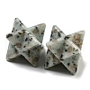 Natural Sesame Jasper/Kiwi Jasper Beads G-A206-01B-62-2