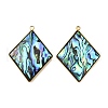 304 Stainless Steel Pave Natural Paua Shell Pendants X-STAS-Z125-01D-G-1