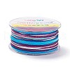 Segment Dyed Polyester Thread NWIR-I013-D-21-1