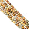 Natural Crazy Lace Agate Round Bead Strands G-E334-4mm-20-2
