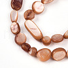 Natural White Shell Beads Strands SHEL-N036-21E-3