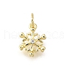 Brass Micro Pave Clear Cubic Zirconia Charms KK-V011-39B-G-1