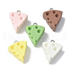 16Pcs 16 Styles Resin Pendants RESI-V001-07-1