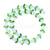 Transparent Glass Bead Strands GLAA-K070-02G-2