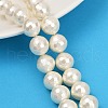 Faceted Round Shell Pearl Beads Strands BSHE-XCP0001-48A-1