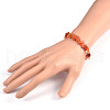 Chips Natural Carnelian(Dyed) Beaded Stretch Bracelets BJEW-JB01826-04-3