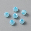 Handmade Lampwork Beads LAMP-TAC0001-05C-1