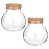 Empty Glass Jar AJEW-WH0083-46C-1