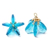 Glass Pendants PALLOY-MZ00741-03-1
