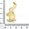 Rack Plating Brass Pendants KK-K401-66G-3