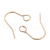 304 Stainless Steel Earring Hooks STAS-B047-31RG-2