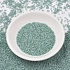 MIYUKI Delica Beads SEED-J020-DB2313-2
