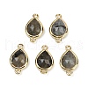 Natural Labradorite Faceted Connector Charms G-L514-048P-05-1