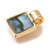 Brass Pendants KK-K389-036G-2