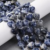 Natural Blue Spot Jasper Beads Strands G-P570-E19-01-1