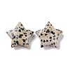 Natural Dalmatian Jasper Beads G-P469-12A-04-2