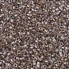MIYUKI Delica Beads SEED-JP0008-DB2395-1