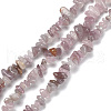 Natural Rose Quartz Beads Strands G-P497-03A-02-1