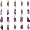 Fingerinspire Natural Amethyst Pendants FIND-FG0001-62-1