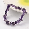 Chips Natural Gemstone Beaded Stretch Bracelets BJEW-JB02131-2