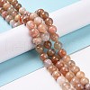 Natural Botswana Agate Beads Strands G-G925-01B-2