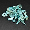 Dyed Natural Shell Nuggets Chips Beads BSHE-O007-06M-1