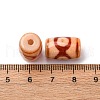 Tibetan Style dZi Beads TDZI-NH0001-E05-05D-3
