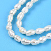 Natural Cultured Freshwater Pearl Beads Strands PEAR-N012-02Y-01-4