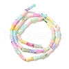 Rainbow Color Dyed Natural Freshwater Shell Beads Strands X1-SHEL-G018-02C-2
