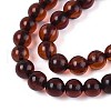 Natural Amber Beads Strands G-K387-D01-02-3