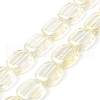 Transparent Electroplate Glass Bead Strands EGLA-P049-02A-FR03-1