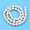 Natural Cultured Freshwater Pearl Beads Strands PEAR-N012-06Y-3
