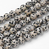 Natural Dalmatian Jasper Bead Strands G-G735-68-8mm-1