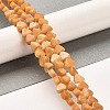 Natural Dolomite Beads Strands G-F765-H03-01-2