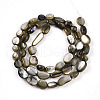 Natural White Shell Beads Strands SHEL-N036-21A-2
