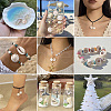 Natural Spiral Shell Red Lip Shell Beads BSHE-TA0002-02-8