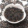 Transparent Glass Round Seed Beads X1-SEED-B001-05A-01-2