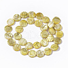 Drawbench Freshwater Shell Beads Strands SHEL-T014-012G-2