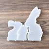 Easter Silicone Molds SIL-V003-002B-4