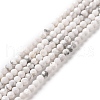 Natural Howlite Beads Strands G-H273-02A-1
