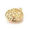 Brass with Cubic Zirconia Pendants KK-E792-28G-02-2