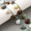 Natural Chrysoprase Beads Strands G-Q183-B08-01-1