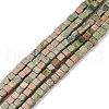 Natural Unakite Beads Strands G-F631-K19-1