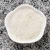 Transparent Inside Colours Glass Seed Beads X1-SEED-H003-04A-2