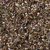 Glass Seed Beads SEED-S042-13A-16-3