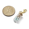 Natural Amazonite Chip inside Glass Wishing Bottle Pendant Decoration HJEW-JM03130-01-3
