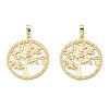 Brass Micro Pave Clear Cubic Zirconia Pendants ZIRC-N039-248-2