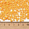 Baking Paint Glass Seed Beads X1-SEED-B001-02A-17-4