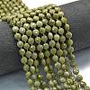 Natural Alashan Agate Beads Strands G-K389-B68-01-1
