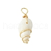 Natural Spiral Shell Pendants PALLOY-JF02792-01-3